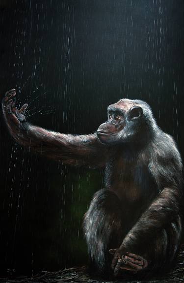 Original Realism Animal Paintings by gillian cliffe