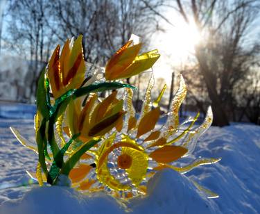 "Yellow tulips and sun" thumb