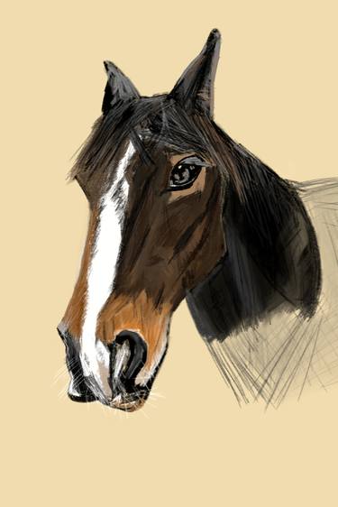Male Horse, Portrait 1, Larry thumb