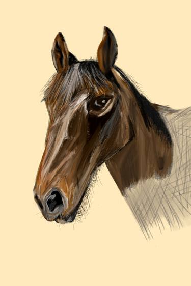 Female Horse, Portrait 1, Maggie thumb