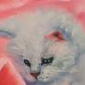 Cat oil painting.