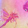 Littel dragon.