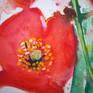 Poppies watercolor art.