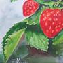 Strawberry watercolor.