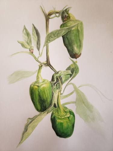 Original Realism Botanic Painting by Nicholas Lessig