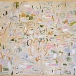 Collection New This Week 02-02-2026