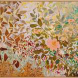 Pink Blossom in Luminosity by SHINA CHOI
