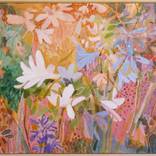 Apricot Lily Haze by SHINA CHOI