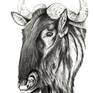 Gazing Wildebeest Drawing by Vincent Yeck | Saatchi Art