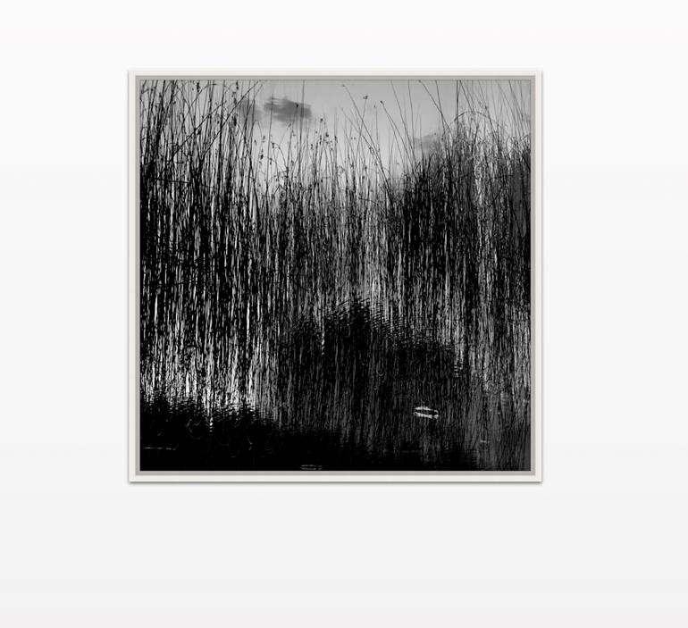 Original Other Nature Photography by Paola Telesca