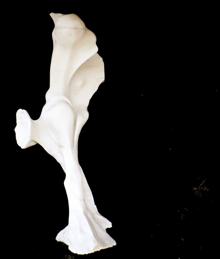Original  abstract Abstract Sculpture by marco petrasch