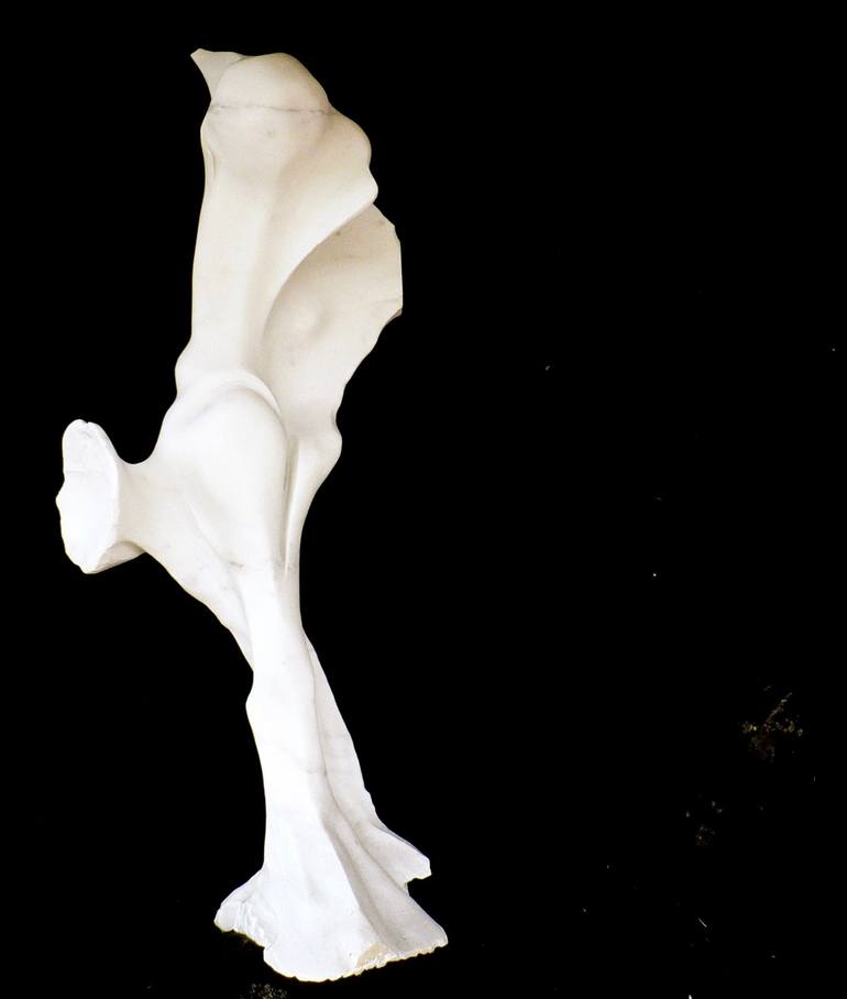 Original Abstract Sculpture by marco petrasch