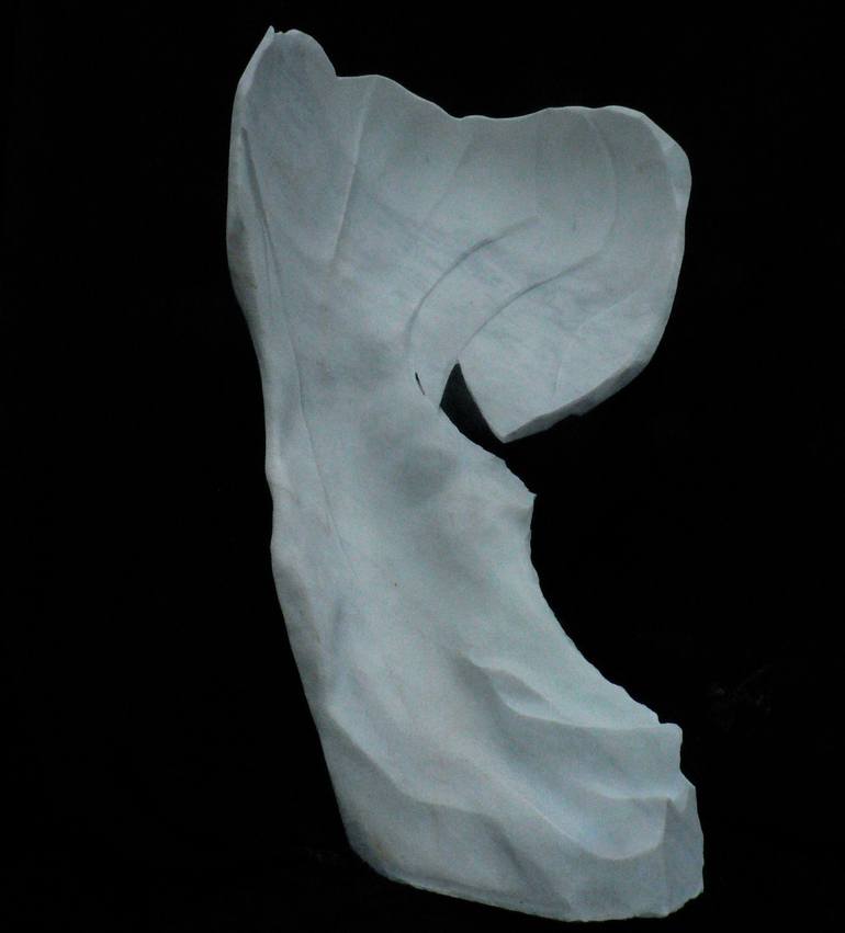 Original contemporary Abstract Sculpture by marco petrasch