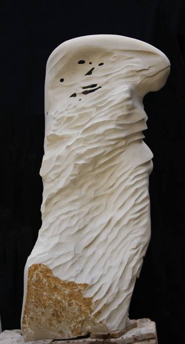 Original Figurative Nature Sculpture by marco petrasch