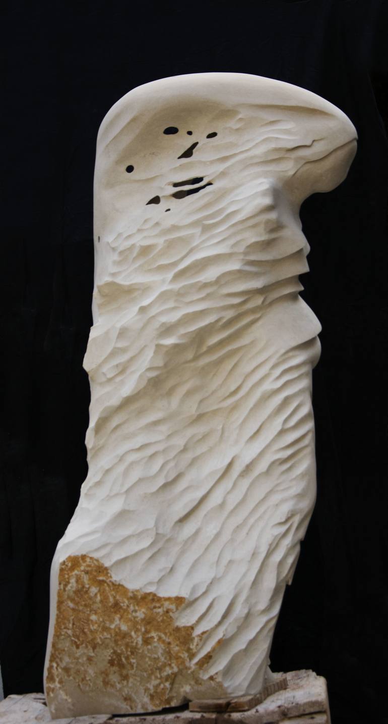 Original contemporary Nature Sculpture by marco petrasch
