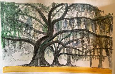 Original Impressionism Tree Paintings by Kristi Cavett Jones