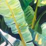 Listed is an original oil painting titled "Banana Leaf Study.” I love these gorgeous banana leaves with the smooth texture and colors! 

DETAILS: This painting measures 8 x 10 inches, and was painted on a canvas. The half inch sides are painted green so this can be hung without a frame if preferred. It can be also placed on an easel or hung in a frame. Painting is signed and the title, artist and date is indicated on the back.