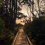 Photo of the footbridge