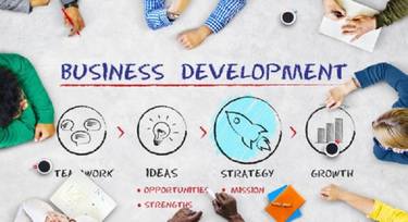 Marcelo Alejandro Rojas Decut - Tips on Business Development Strategy thumb