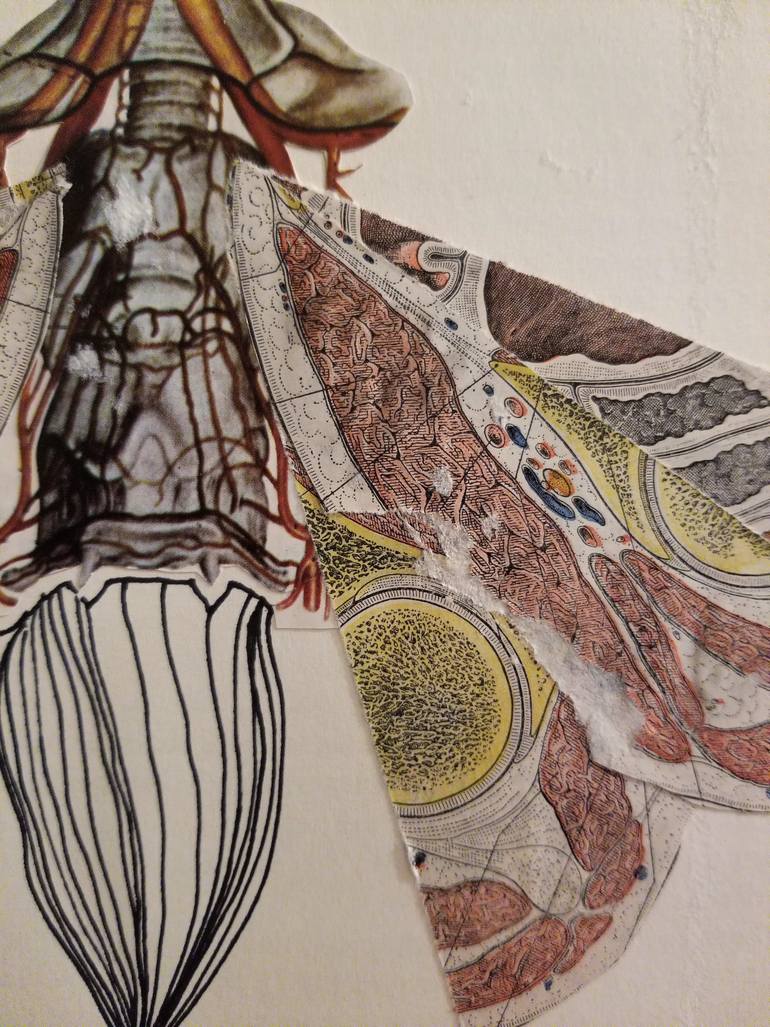 Original Art Deco Animal Collage by Yukwa Yu