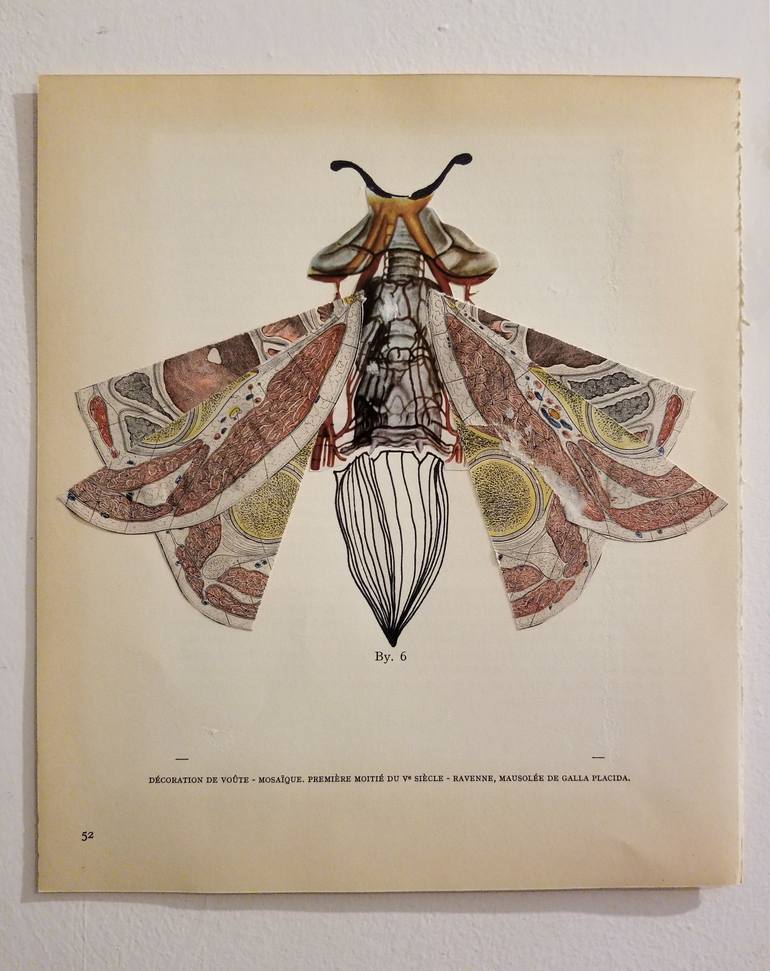 Original Art Deco Animal Collage by Yukwa Yu