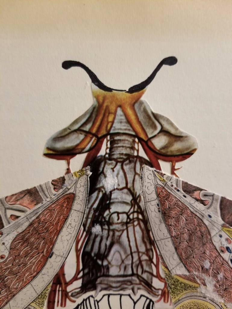 Original Art Deco Animal Collage by Yukwa Yu