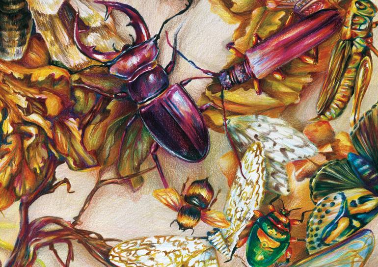 Original Realism Floral Drawing by Elena Schaefer