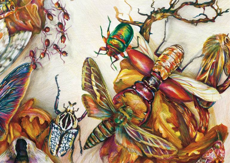 Original Realism Floral Drawing by Elena Schaefer