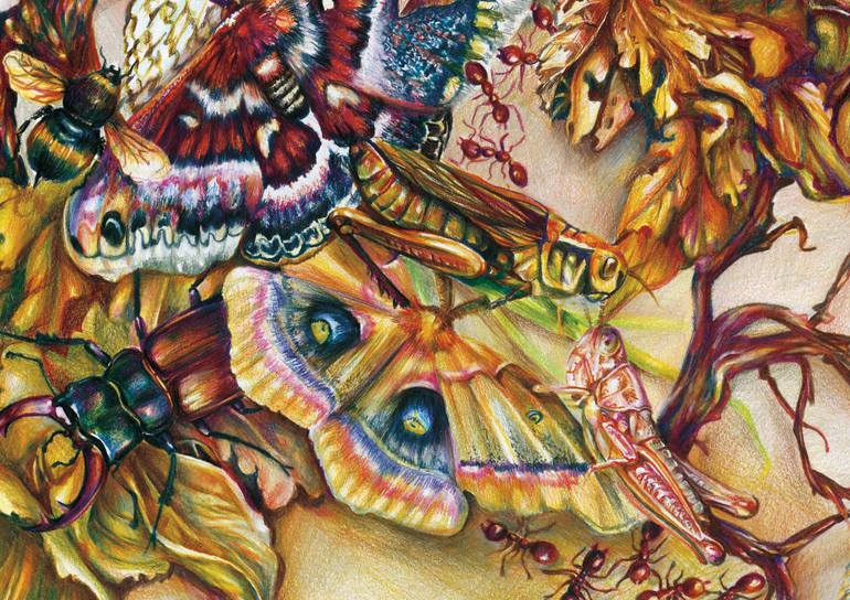 Original Realism Floral Drawing by Elena Schaefer