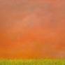 Orange sky