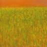Textured field