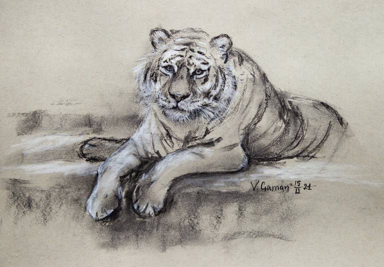 Thoughtful tiger. Drawing with charcoal and charcoal pencils. Drawing by  Viktoria Gaman