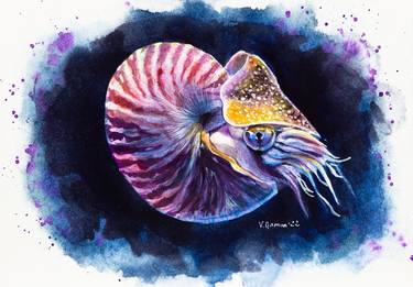 Nautilus in ocean waters. Watercolor painting. thumb
