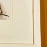 Image as sample of frame . White frame and glass