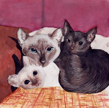 Print of Realism Cats Paintings by June Chevanintakul
