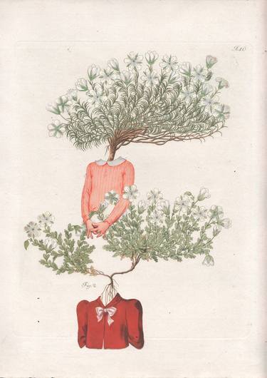 Print of Tree Collage by Farshido Larimian