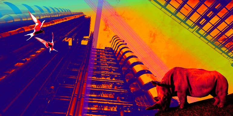 View in a Room Artwork