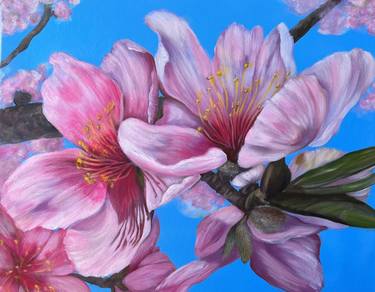 Original Fine Art Botanic Paintings by Olesia Pogrebnova