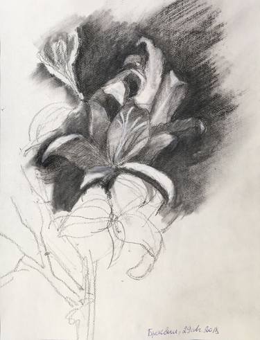 Original Floral Drawings by Sandy Ostrowska