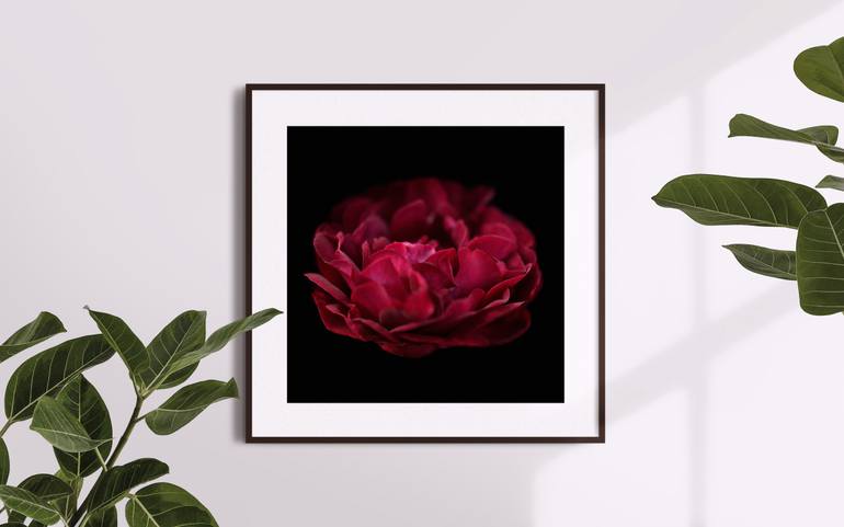 Original Minimalism Floral Photography by Marta Stoyanova