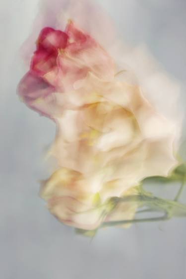 Original Abstract Expressionism Floral Photography by Marta Stoyanova