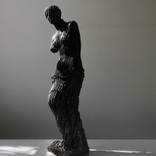 MEMORY OF VENUS_DENSE by April Pine