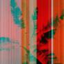Visual Fabric - 01