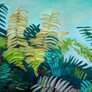 Spring Fern Field