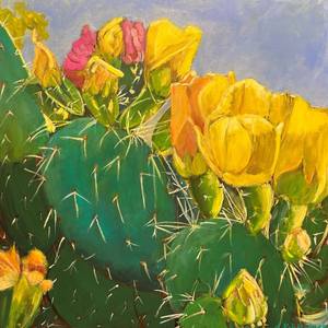 Prickly Pear Cactus Flowers