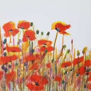 Collection Modern Poppies!