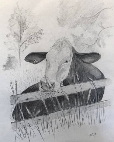Print of Animal Drawings by Sandra Dahlberg