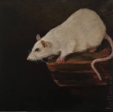 White Rat ANIMALS COLLECTION thumb