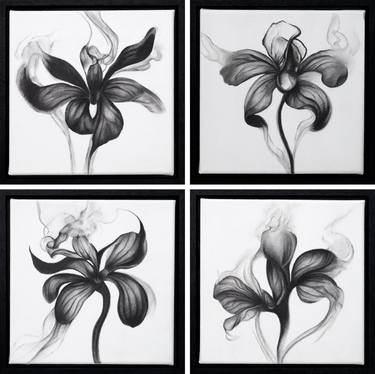Smoky orchids, charcoal on linen canvases thumb