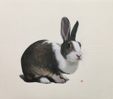 my rabbit image